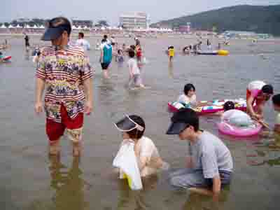 엉거주춤한 자세로 조개잡는 피서객 